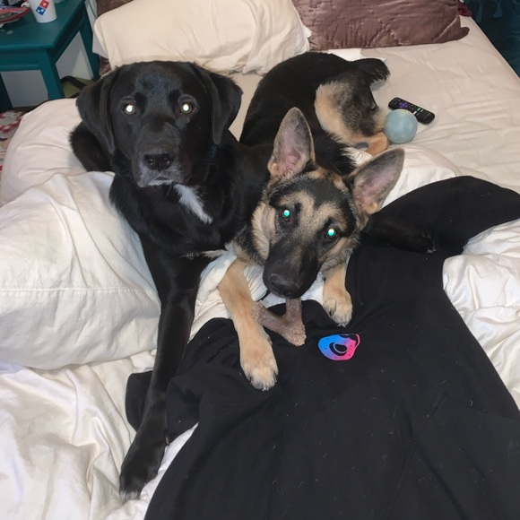 Meet your Posher, Chloe - Picture 7 of 7